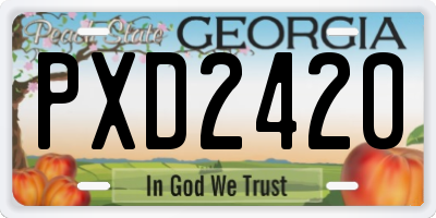 GA license plate PXD2420