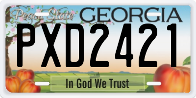 GA license plate PXD2421