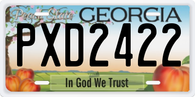 GA license plate PXD2422