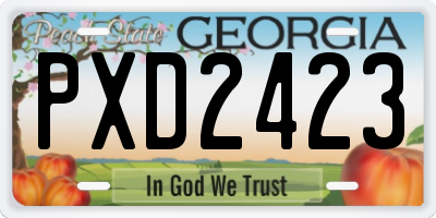 GA license plate PXD2423