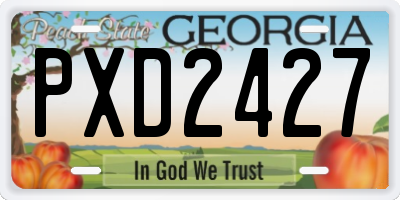 GA license plate PXD2427