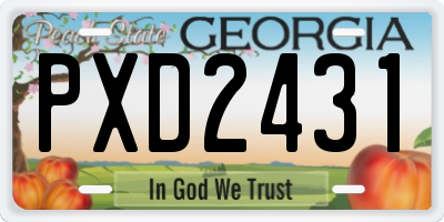 GA license plate PXD2431