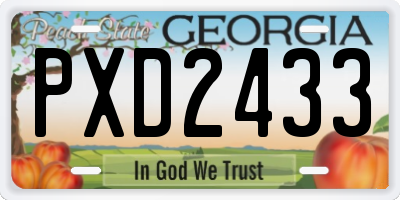 GA license plate PXD2433