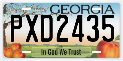 GA license plate PXD2435