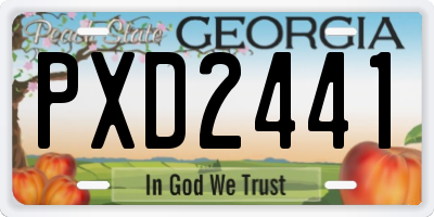 GA license plate PXD2441