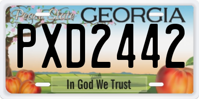 GA license plate PXD2442