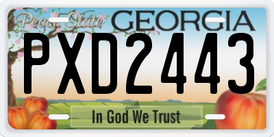 GA license plate PXD2443