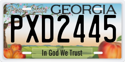 GA license plate PXD2445