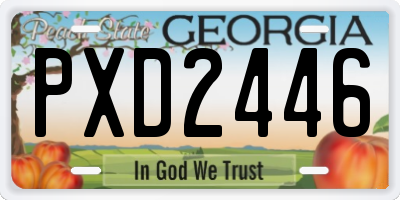 GA license plate PXD2446