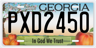 GA license plate PXD2450
