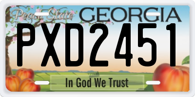 GA license plate PXD2451