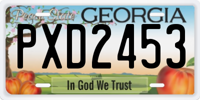 GA license plate PXD2453