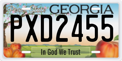 GA license plate PXD2455