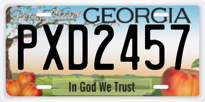GA license plate PXD2457