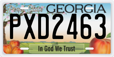 GA license plate PXD2463