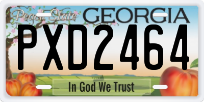 GA license plate PXD2464