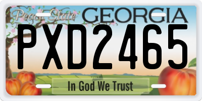 GA license plate PXD2465