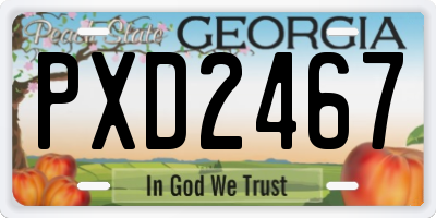 GA license plate PXD2467