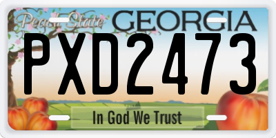 GA license plate PXD2473