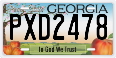 GA license plate PXD2478