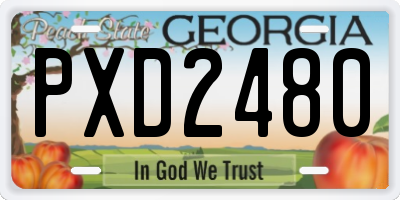 GA license plate PXD2480