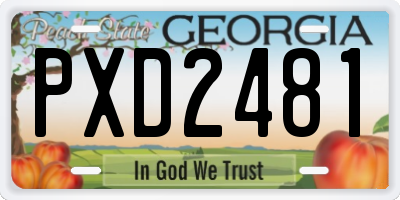 GA license plate PXD2481