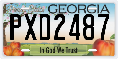 GA license plate PXD2487
