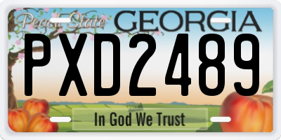 GA license plate PXD2489
