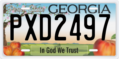 GA license plate PXD2497