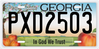 GA license plate PXD2503