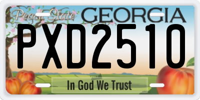 GA license plate PXD2510