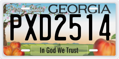 GA license plate PXD2514