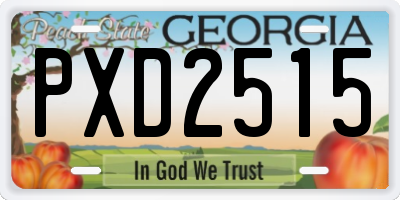 GA license plate PXD2515