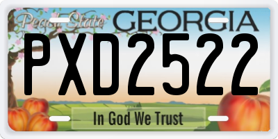 GA license plate PXD2522