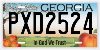 GA license plate PXD2524