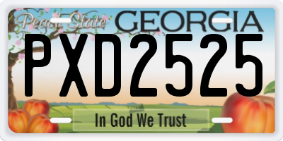 GA license plate PXD2525