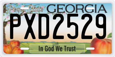 GA license plate PXD2529