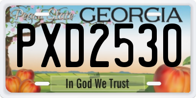 GA license plate PXD2530