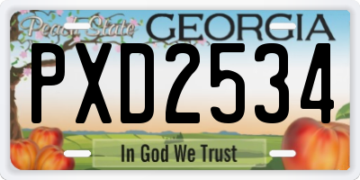 GA license plate PXD2534