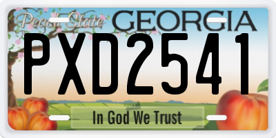 GA license plate PXD2541