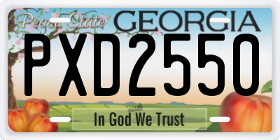 GA license plate PXD2550