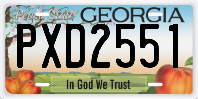 GA license plate PXD2551