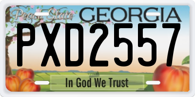 GA license plate PXD2557