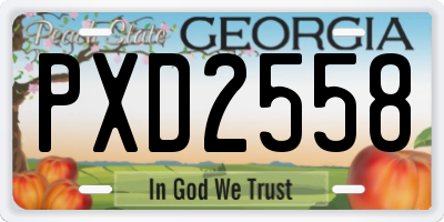 GA license plate PXD2558