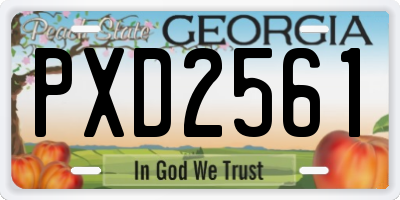GA license plate PXD2561