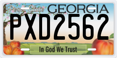 GA license plate PXD2562