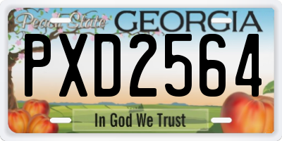 GA license plate PXD2564