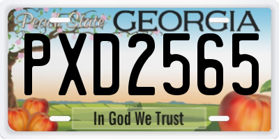 GA license plate PXD2565