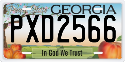 GA license plate PXD2566