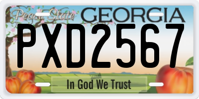 GA license plate PXD2567
